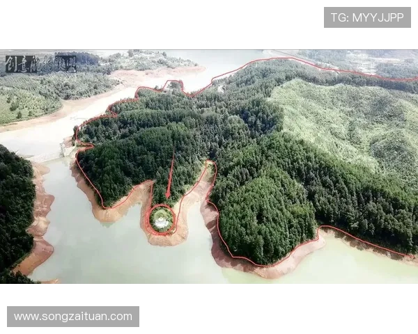 瀛欓鑾庣帇鏇兼槺涓ぎ鏈哄叧璧涙鎵嬪杞帮細20 鎷嶇浠欑悆寮曠垎鍏ㄥ満